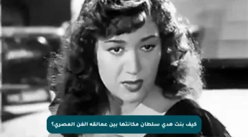 كيف بنت هدى سلطان مكانتها بين عمالقة الفن المصري؟